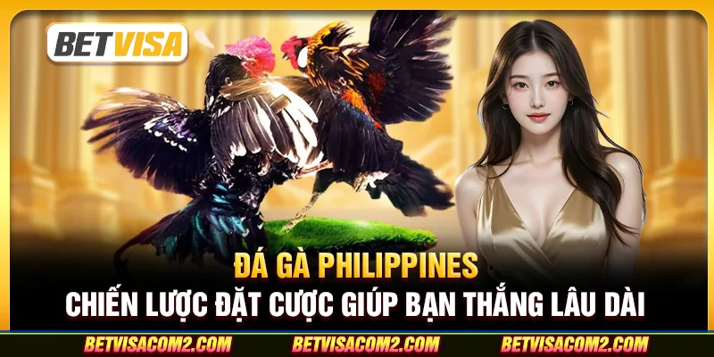 Đá gà Philippines: Chiến lược đặt cược giúp bạn thắng lâu dài